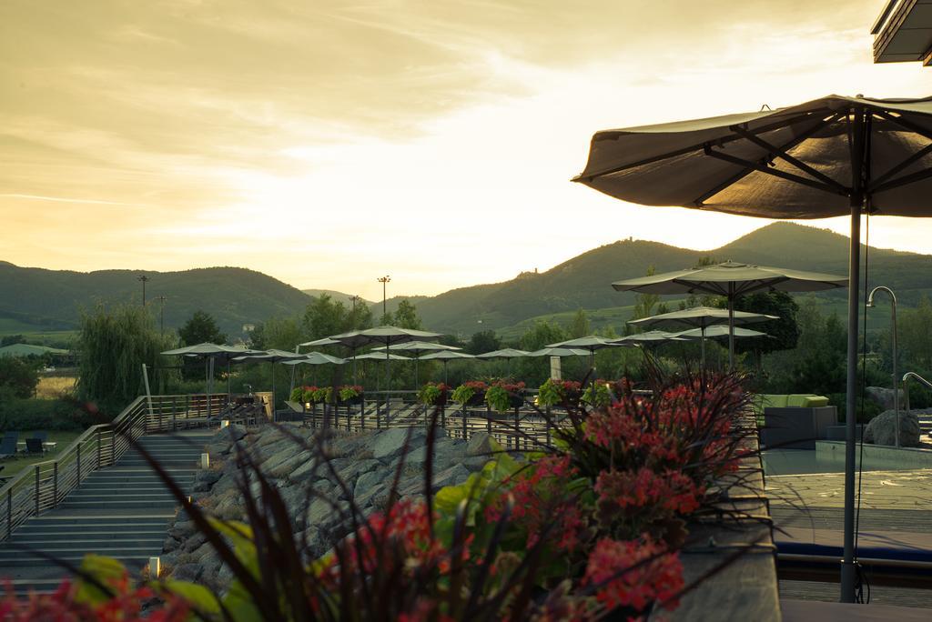 Hotel Barriere Ribeauville Kültér fotó