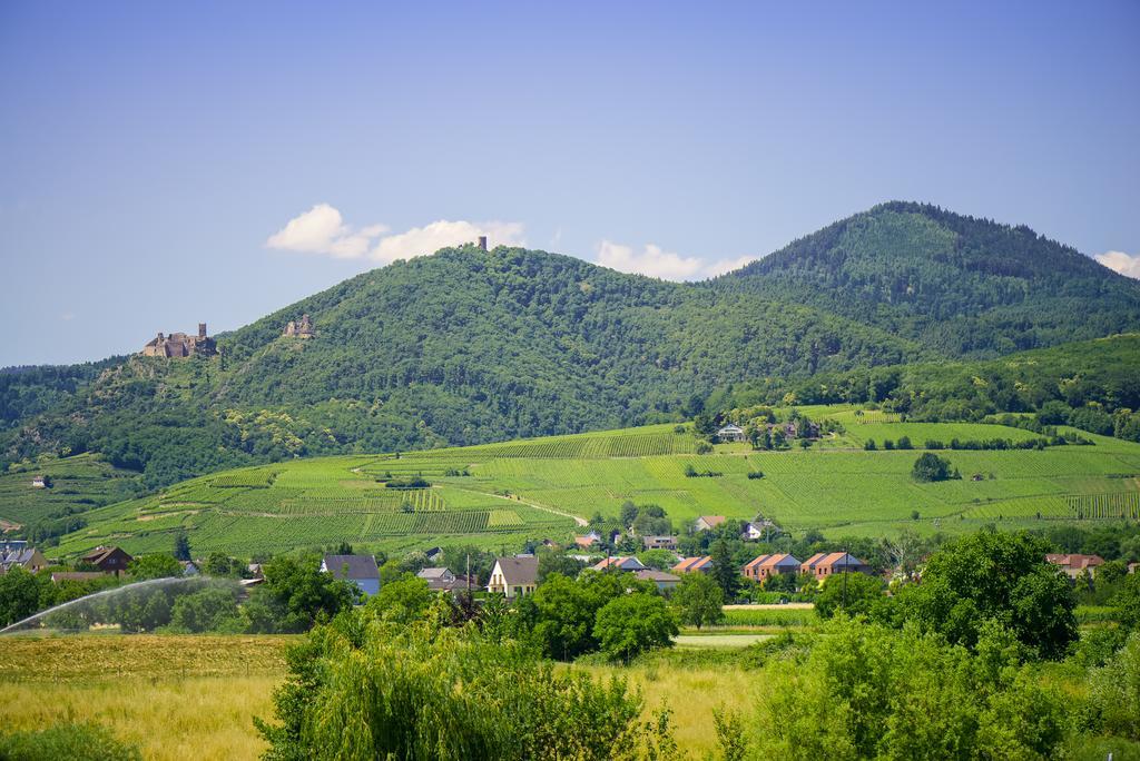 Hotel Barriere Ribeauville Kültér fotó